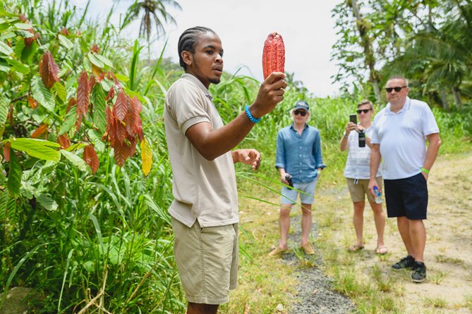 Hotel Chocolat: From Tree to Bar Tour With Tasting in St. Lucia - Additional Tour Information