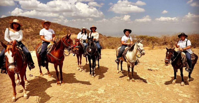 Hour Horse Ride With Transportation in Guanajuato City - Pricing and Booking