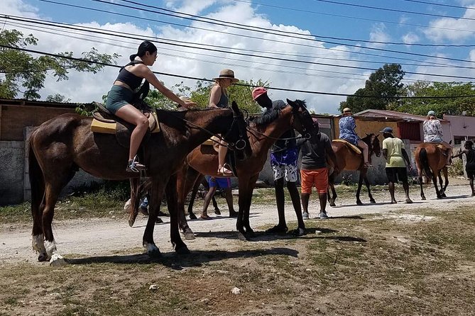 Hour Horseback Riding Guided Tour From Runaway Bay - Tour Overview and Details