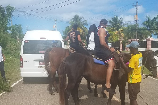 Hour Horseback Riding Guided Tour From Runaway Bay - Health and Safety Considerations