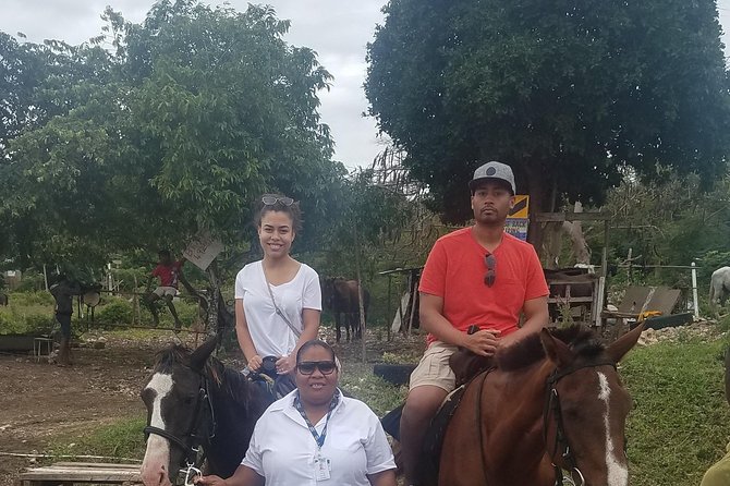 Hour Horseback Riding Guided Tour From Runaway Bay - Customer Feedback and Ratings