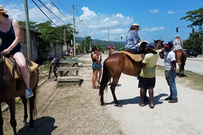 Hour Horseback Riding Guided Tour From Runaway Bay - Exploring Local Communities