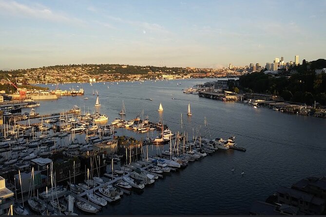 Hourly City and or Wine Tours of Seattle Wa - Accessibility Features