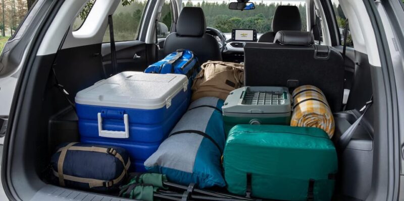 Hourly Rental of a SUV With a Bilingual Driver. - Inclusions and Exclusions