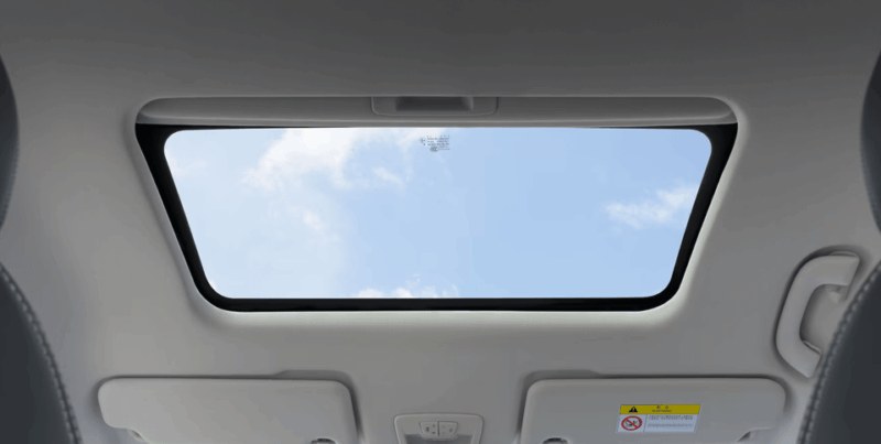 Hourly Rental of a SUV With a Bilingual Driver. - Driver Qualifications