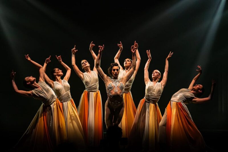 House of Son Amar EXHIBIT SHOW - Inclusion and Experiences