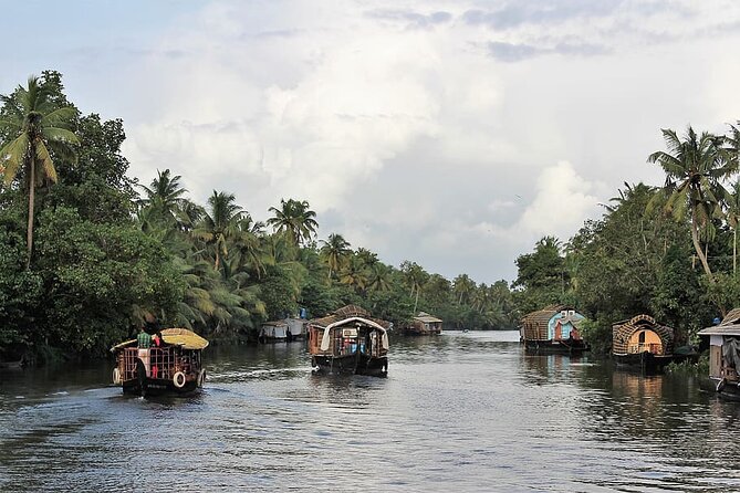 Houseboat Tour In Alleppey Backwaters From Cochin - Health and Safety Considerations