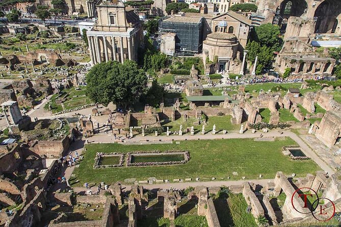 Houses of Augustus and Livia Private Tour With Roman Forum and Palatine Hill - Customer Reviews