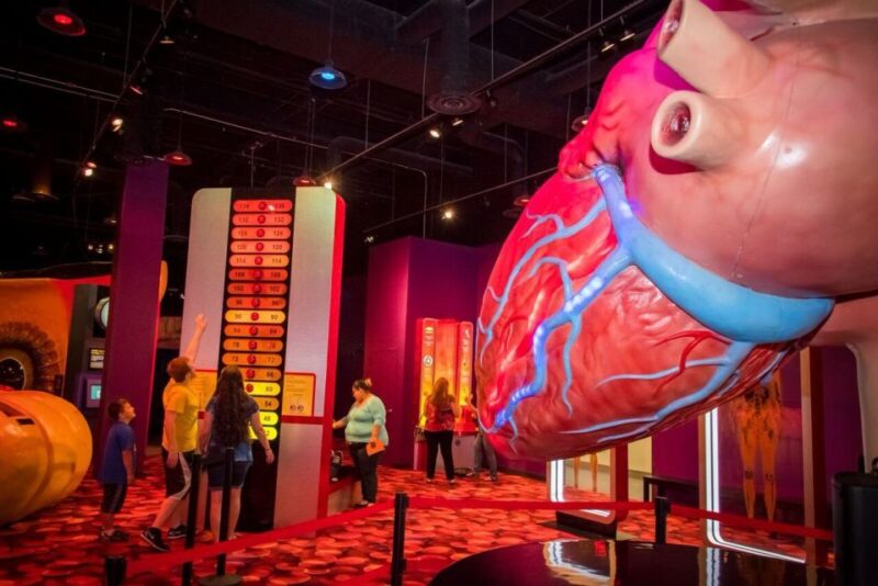Houston: 1-Day or 3-Day Museum Pass - Key Points