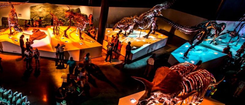 Houston: 1-Day or 3-Day Museum Pass - Special Exhibit Admission and Discounts