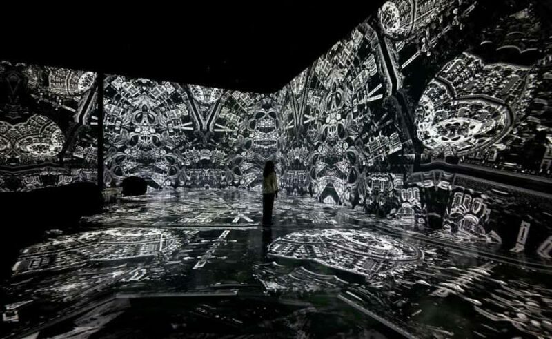Houston: 'ARTECHOUSE' Exhibition and Gallery Entry Ticket - An In-Depth Look at ARTECHOUSE Houston