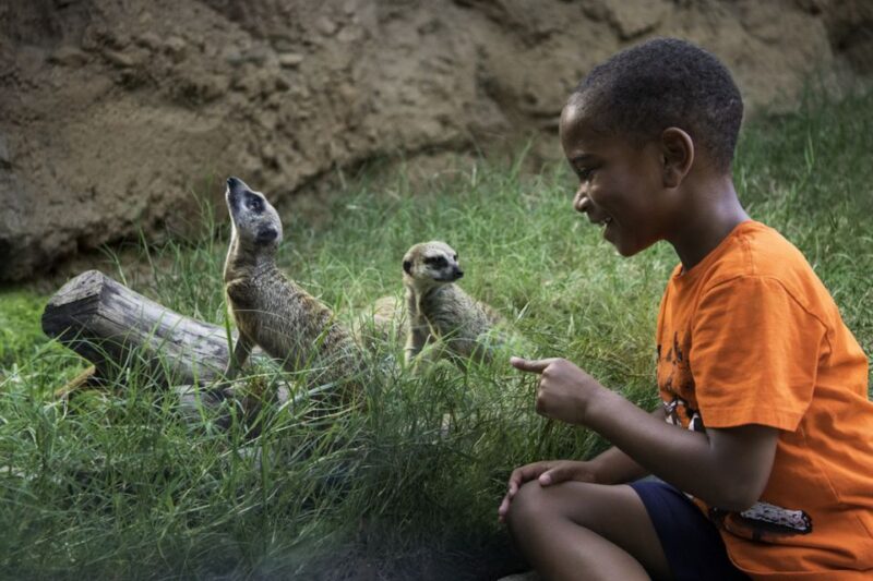 Houston: Citypass® With Tickets to 5 Top Attractions - Reservation Requirements