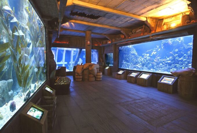Houston: Citypass® With Tickets to 5 Top Attractions - Customer Ratings and Feedback