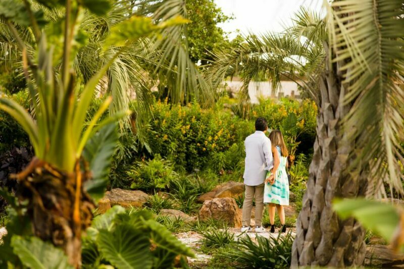 Houston: Houston Botanic Garden Entry Ticket - Houston: Houston Botanic Garden Entry Ticket – A Natural Escape in the City