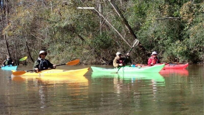 Houston: Luce Bayou Kayaking Tour - Exploring the Luce Bayou Experience