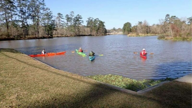 Houston: Luce Bayou Kayaking Tour - The Practical Side: What to Expect