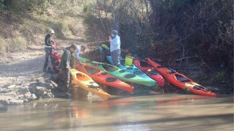Houston: Luce Bayou Kayaking Tour - Who Will Love This Tour?