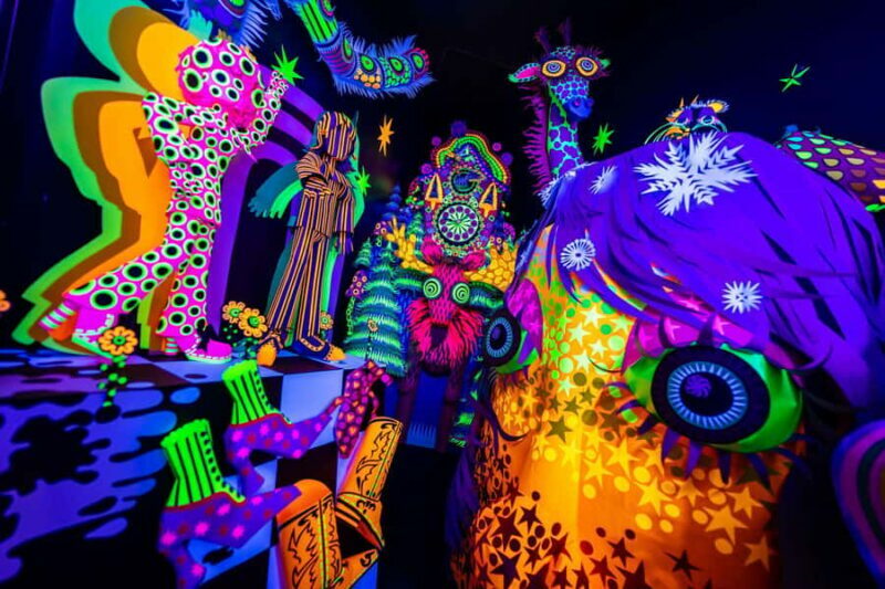 Houston: Meow Wolf - Radio Tave Ticket - A Detailed Look at the Experience
