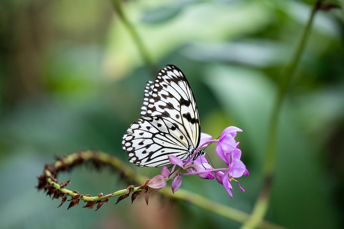 Houston Museum of Natural Science and Cockrell Butterfly Center - Kids Exploration Area