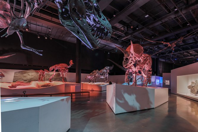 Houston Museum of Natural Science General Admission - Permanent Exhibit Collections