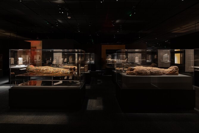 Houston Museum of Natural Science General Admission - Special Exhibits and Attractions
