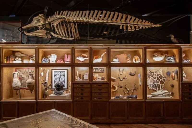 Houston: Museum of Natural Science General Admission Ticket - Important Information