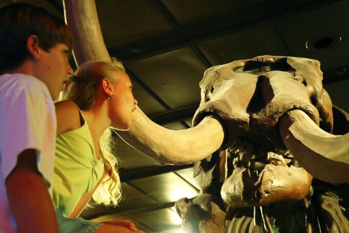 Houston: Museum of Natural Science General Admission Ticket - Accessibility and Accommodations
