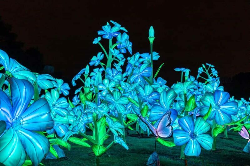 Houston: Radiant Nature Winter Light Show Tickets - Key Points
