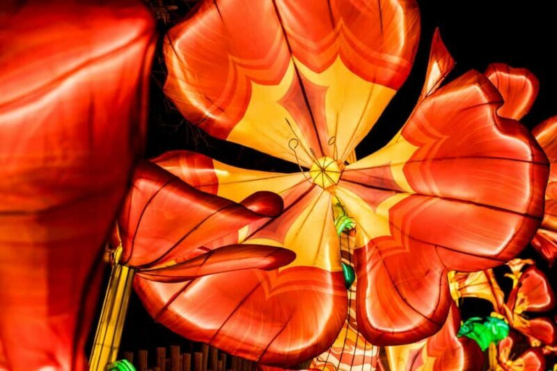 Houston: Radiant Nature Winter Light Show Tickets - Who Will Love This?