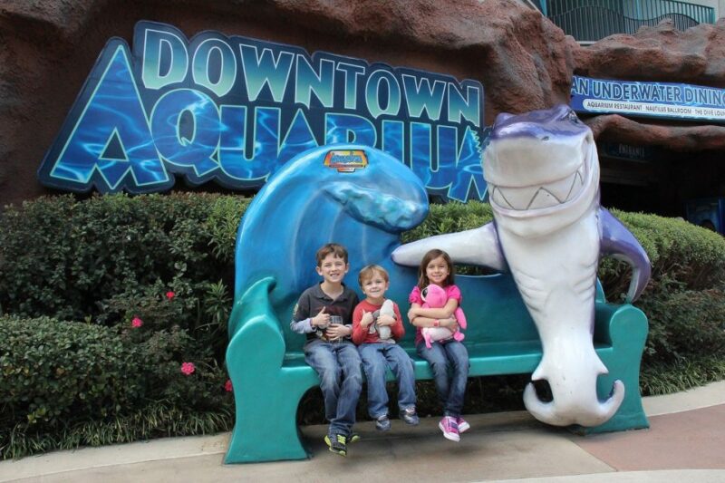 Houston Tour and Aquarium Ticket - Customer Feedback and Ratings