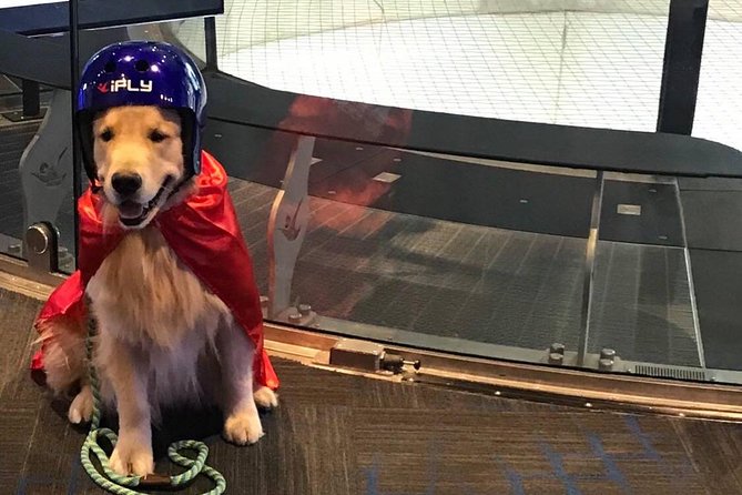Houston Woodlands Indoor Skydiving With 2 Flights & Personalized Certificate - Customer Reviews and Excellence