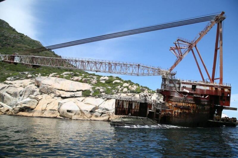 Hout Bay: Duiker Island Seal Colony Cruise - Cruise Duration and Options