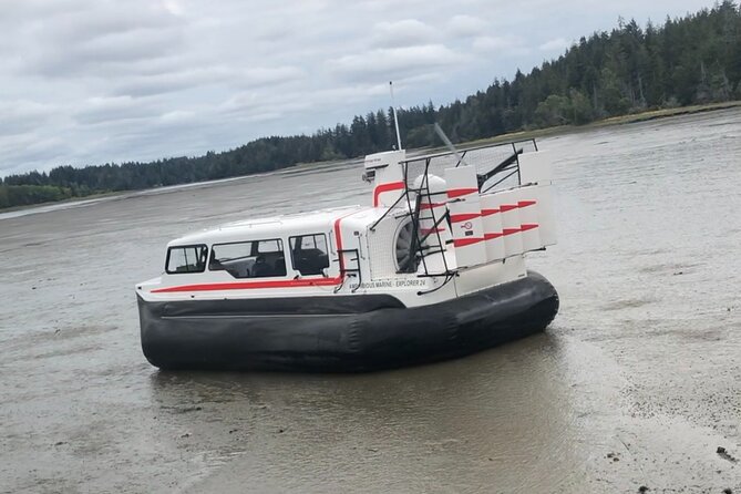 Hover Craft Scenic Tour in Talkeetna, Alaska - Personalized Scenic Tours for All Travelers