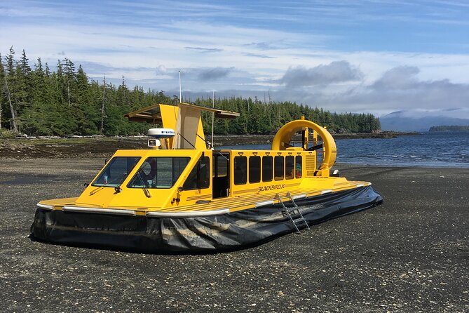 Hovercraft Eco Adventure and Wildlife Viewing - Capturing the Majestic Landscape