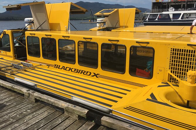 Hovercraft Eco Adventure and Wildlife Viewing - Accessibility to Secluded Coves