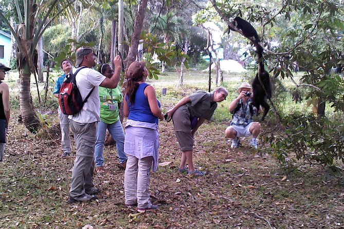 Howler Monkey Sanctuary and Belize City Tour - Key Points