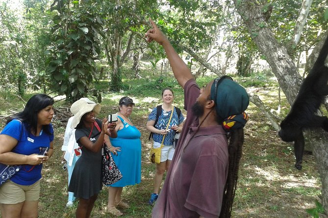 Howler Monkey Sanctuary and Kukumba Beach From Belize City - Reviews and Ratings