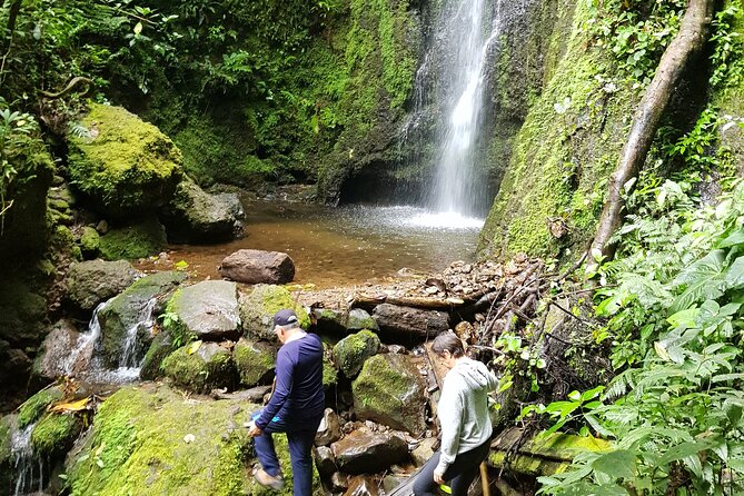 Howler Monkey Tour - Filandia Views And Gastronomy - Tour Schedule