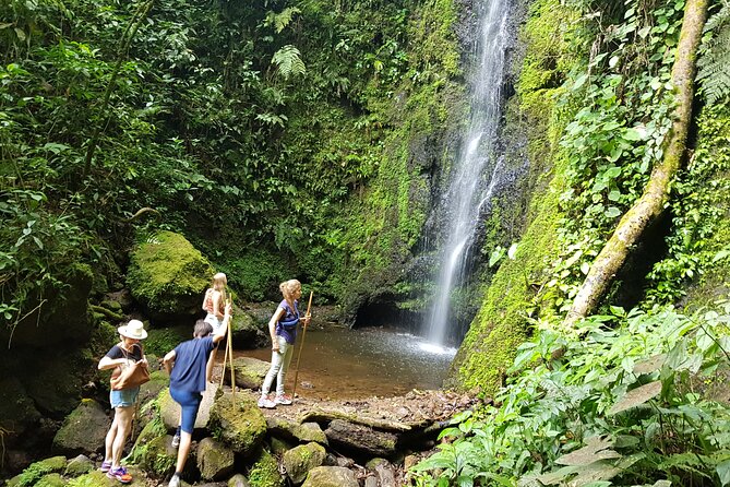Howler Monkey Tour - Filandia Views And Gastronomy - Booking Details