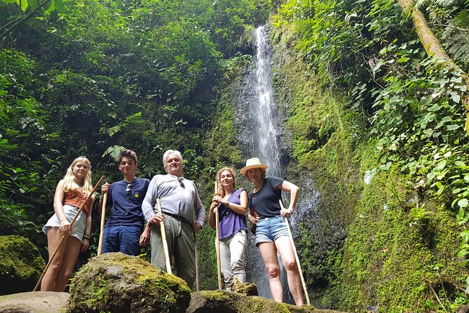 Howler Monkey Tour - Filandia Views And Gastronomy - Review Summary