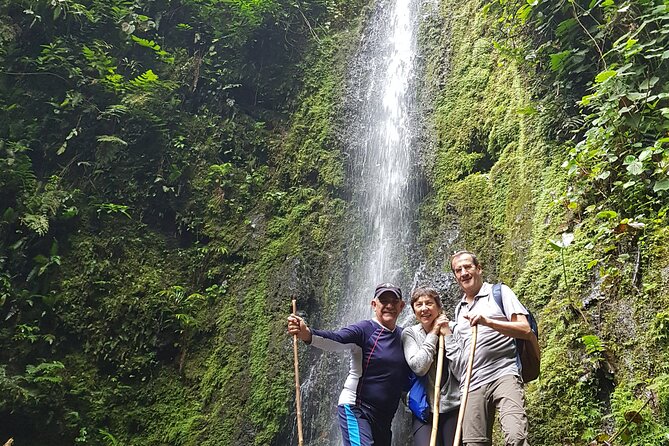 Howler Monkey Tour - Filandia Views And Gastronomy - Booking Details