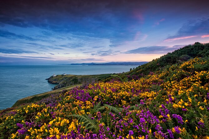 Howth Coastal Half-Day Bus Tour From Dublin With Live Guide - Inclusions in the Tour
