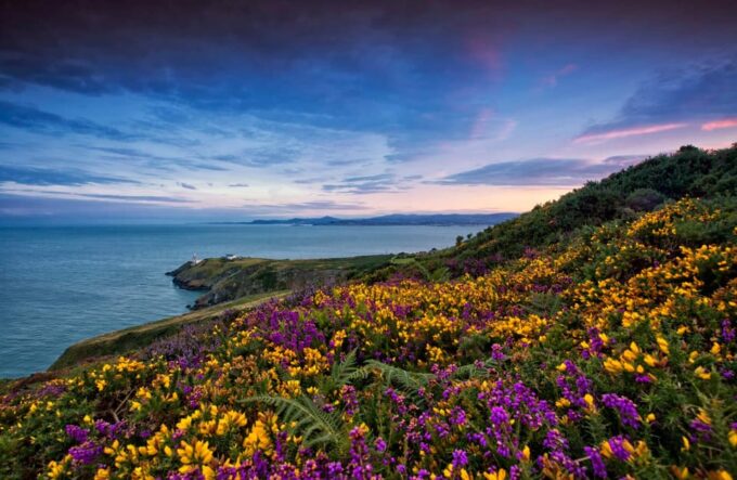 Howth Coastal Walk - Experience and Highlights
