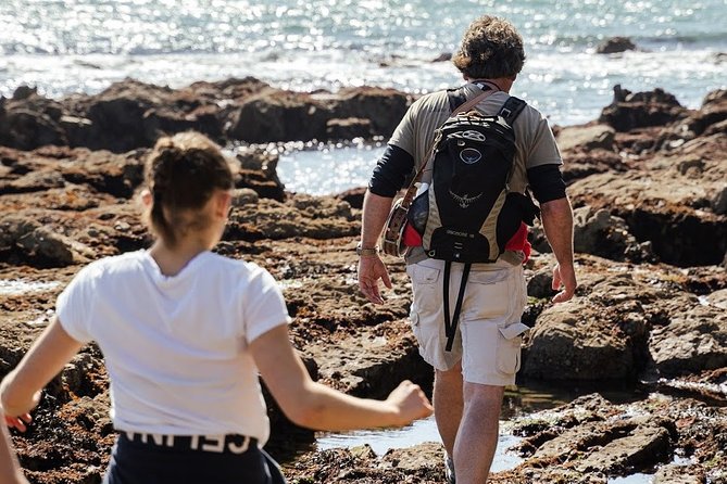 Howth Peninsula Hiking Tour Overlooking Dublin Bay - Howth Castle and Imported Jungle