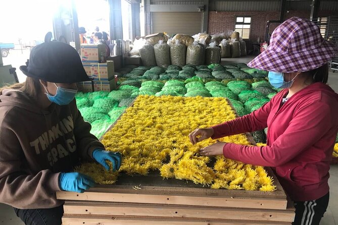 Hsinchu Sugar Culture and Dried Persimmon Experience From Taipei - Meeting and End Point