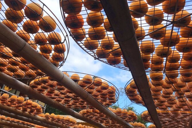Hsinchu Sugar Culture and Dried Persimmon Experience From Taipei - Sugarcane Harvesting Experience