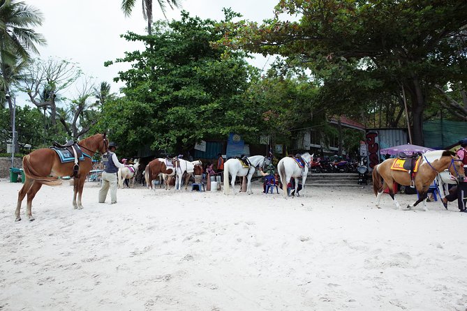 Hua Hin Customize Day Tour - Tour Customization