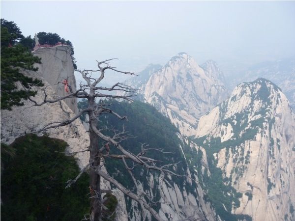 Hua Shan Mountain Private Day Tour - Customer Feedback