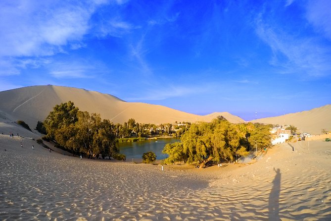 Huacachina Oasis & Ballestas Islands From Lima - Private Trip - Reviews