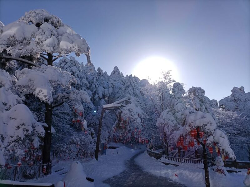 Huangshan: Mountain Top Day Trip With Cable Car and Pickup - Key Points